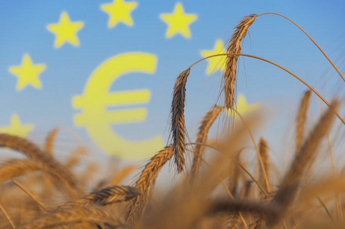 Ue: i giovani Cia da Hansen, servono azioni chiare su Pac e ricambio generazionale