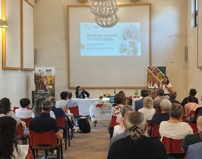 Donne in Campo Veneto organizza il convegno "Dal silenzio al riscatto"