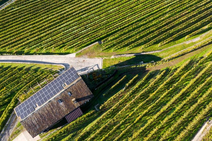 Fotovoltaico: Cia, accelerare su transizione energetica coinvolgendo agricoltori