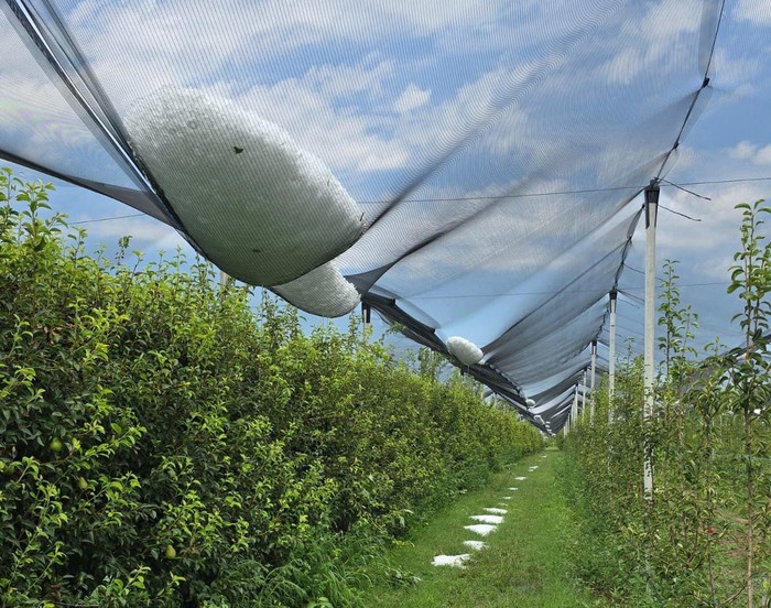 Cia Ferrara: le aziende agricole in balia del clima e della burocrazia