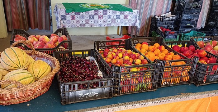 Cia Padova: luci e ombre per la frutta di stagione nel Camposampierese