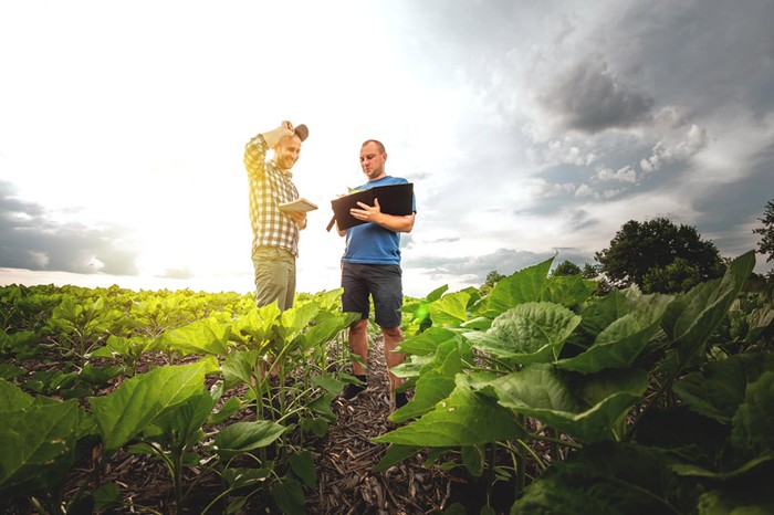 Agricat: Cia, bene sblocco risarcimenti per 19mila agricoltori