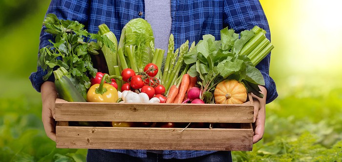 Sana: Cia, biologico italiano leader in Ue. Ora tocca alla politica rafforzare il settore