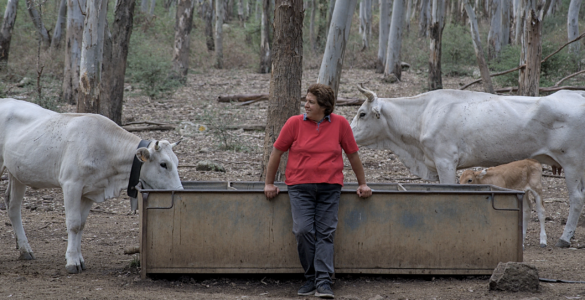 Donatella Vanadia eletta presidente di Donne in Campo-Cia Sicilia Orientale