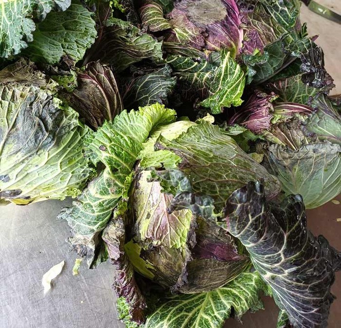 Caldo: Cia Padova, perdite fino al 15% per le colture autunno-vernine