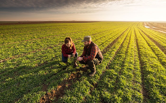 Lavoro: Cia, rinnovato contratto a 1 mln di operai agricoli e florovivaisti