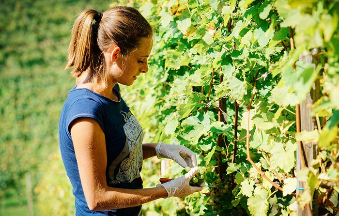 Cia Venezia: nel nostro territorio un'azienda agricola su 4 è condotta da donne