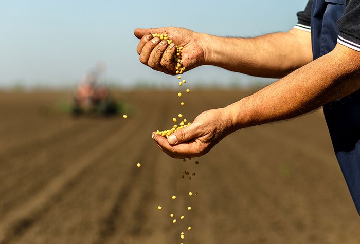 Filiera agroalimentare compatta nel sostenere valore del seme certificato