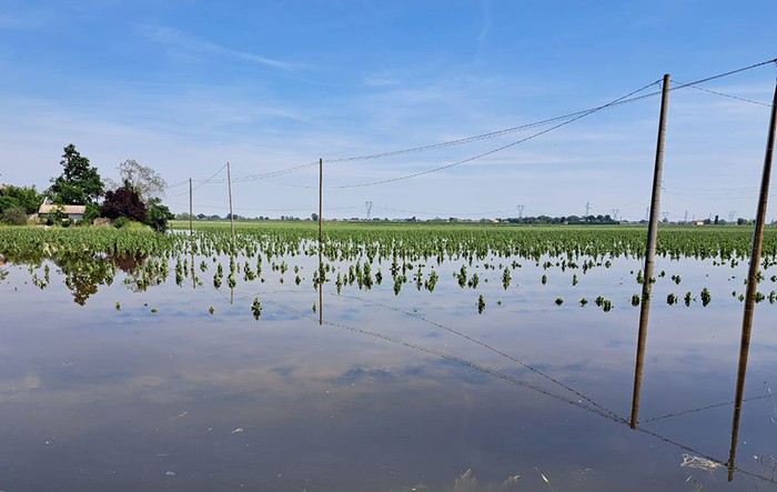 Maltempo: Cia Imola, aziende allo stremo, ma non chiamatela più emergenza