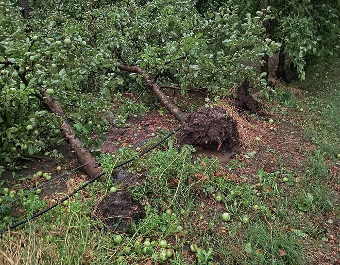 Maltempo: Cia Ferrara, avviata la ricognizione dei danni