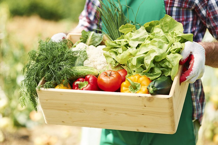 Cia Matera: includere aziende ortofrutticole in decreto esonero contributivo