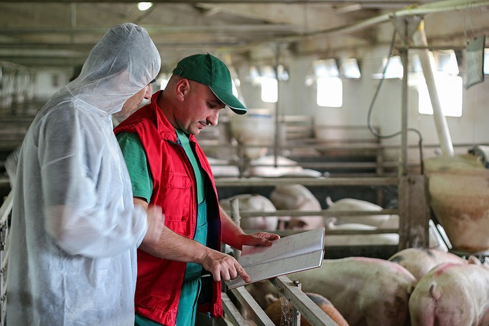 Allevamenti: Cia, il veterinario aziendale tra carenza di professionisti e obblighi. Al via tavolo stakeholder