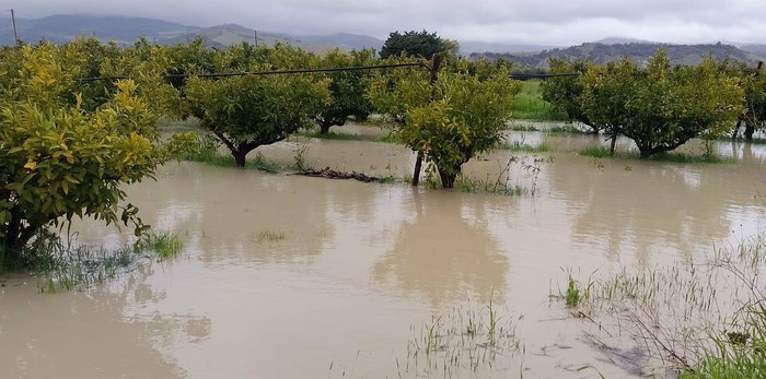 Maltempo: Cia Potenza e Matera in campo per ricognizione danni e assistenza imprese