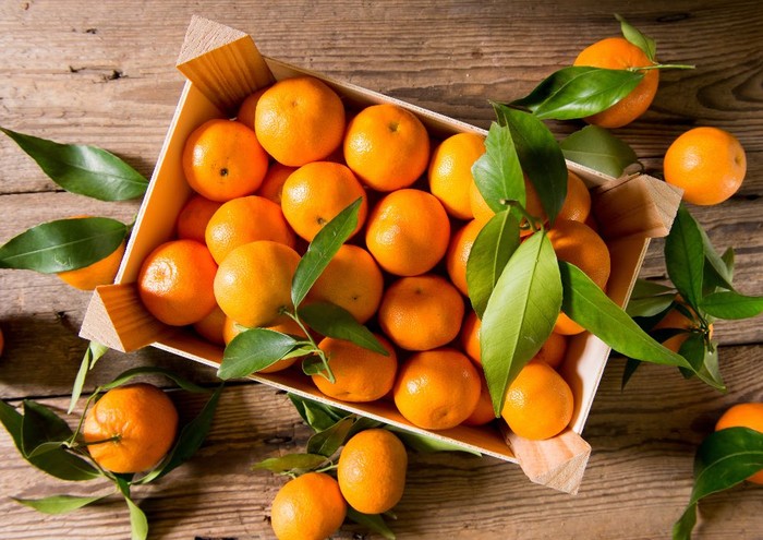 Epifania: mandarini assicurati nella calza della Befana. Domanda +10% nonostante rincari e clima
