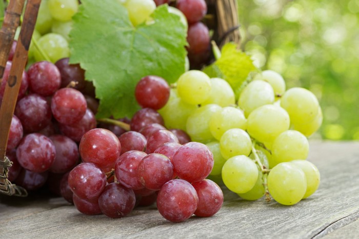 Uva: Cia Cuneo, prezzi non coprono costi di produzione. Così difficile mantenere i vigneti