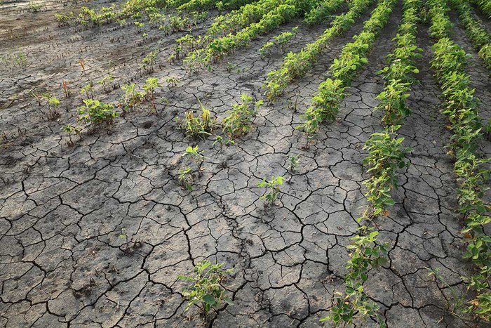 Siccità: Cia Abruzzo chiede lo stato di calamità per l'agricoltura