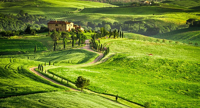 Cia Toscana: bene proposta di legge Agricoltura, auspichiamo approvazione entro l’anno