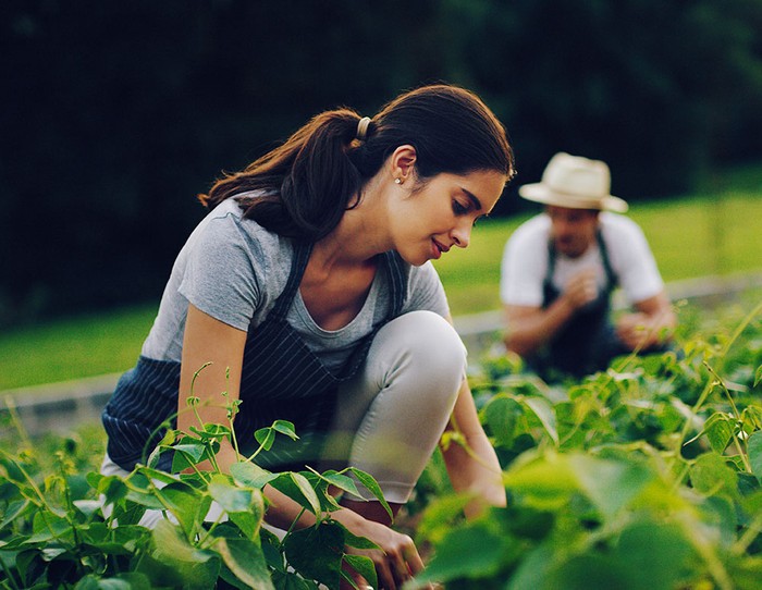 Cia Alta Lombardia: al via incontri territoriali per agricoltori, cittadini e imprese