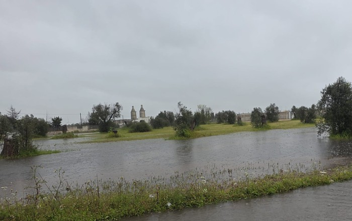 Maltempo: Cia Puglia, agricoltura sott'acqua. Gravi danni al comparto