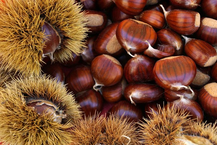 Castagne: Cia Cuneo, raccolto abbondante, ma prezzi bassi per pezzature troppo piccole