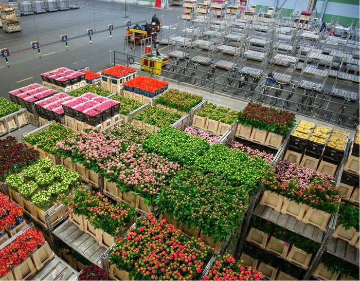 Cia Toscana Centro: da Pnrr in arrivo 10 mln per rilancio Mefit Pescia