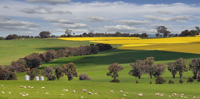 A Casa Cervi XVIII edizione della Scuola di Paesaggio "Emilio Sereni". Aperte le iscrizioni