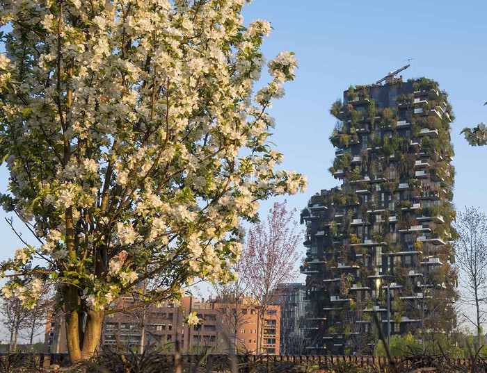 Caldo: Florovivaisti italiani-Cia, città più fresche fino a 1,5 °C con il 30% di alberi in più
