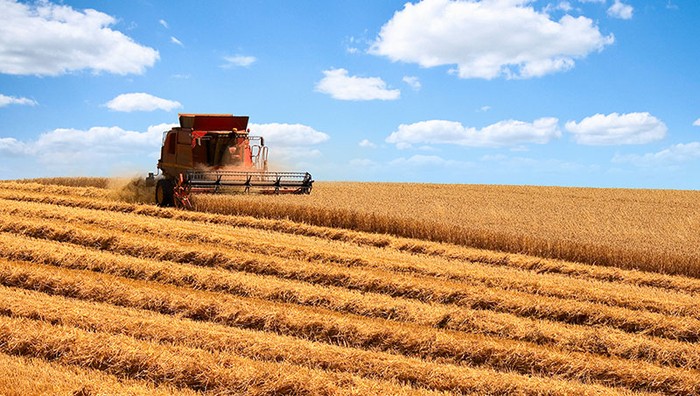 Cereali: Cia, Granaio Italia non si tocca. Ogni rinvio sarà inaccettabile