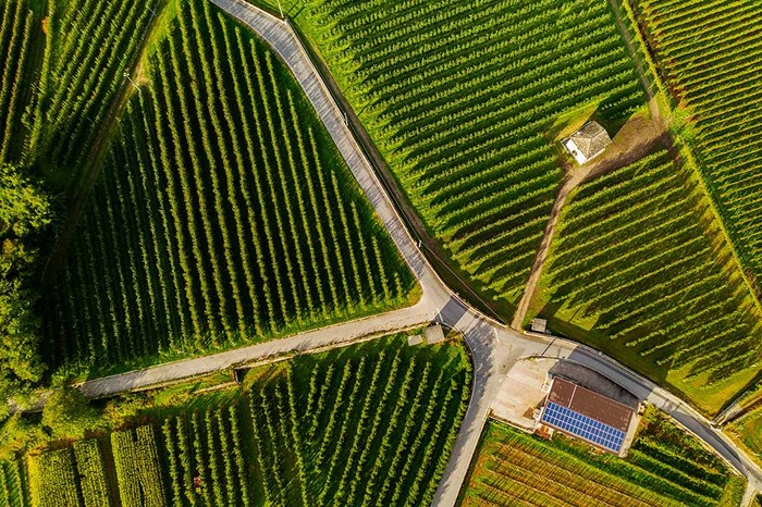 Cia Abruzzo: transizione energetica e tutela agricoltura devono coesistere