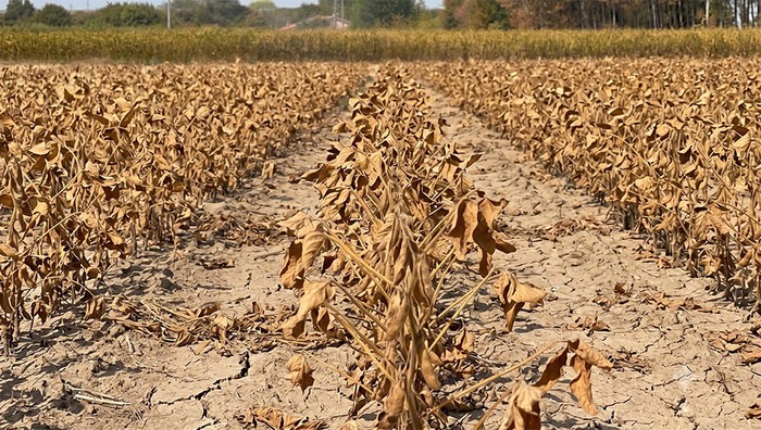 Siccità: Cia Padova, si va verso una crisi agricola peggiore del 2022