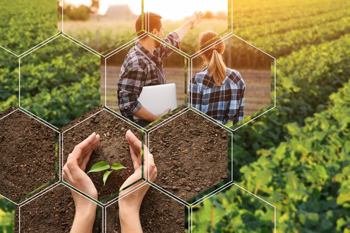 Eima: Cia, dalla robotica al tree climbing l’agricoltura chiede sempre più ricerca