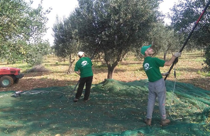 Cia Puglia: il presidente Emiliano a Bitonto per incontrare il mondo agricolo regionale