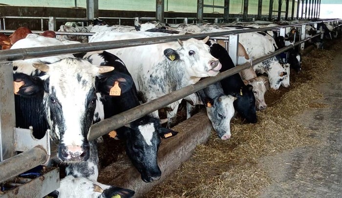 Cia Alta Lombardia alla 57ª Mostra Zootecnica d’Autunno e alla Festa dell’Agricoltura