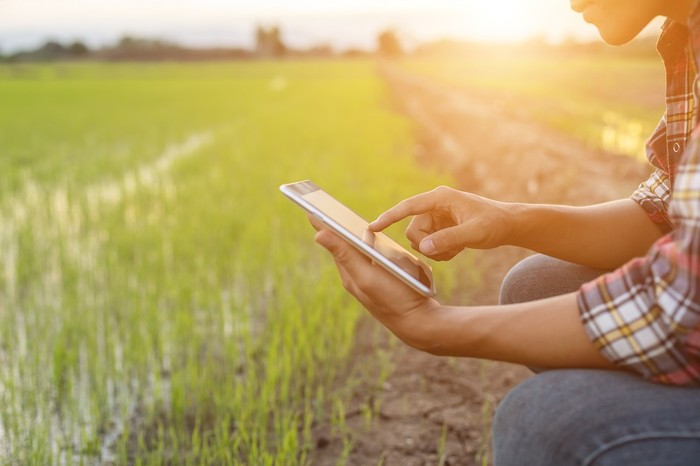 Cia Umbria: nasce "Agriconnect" per transizione digitale aziende agricole
