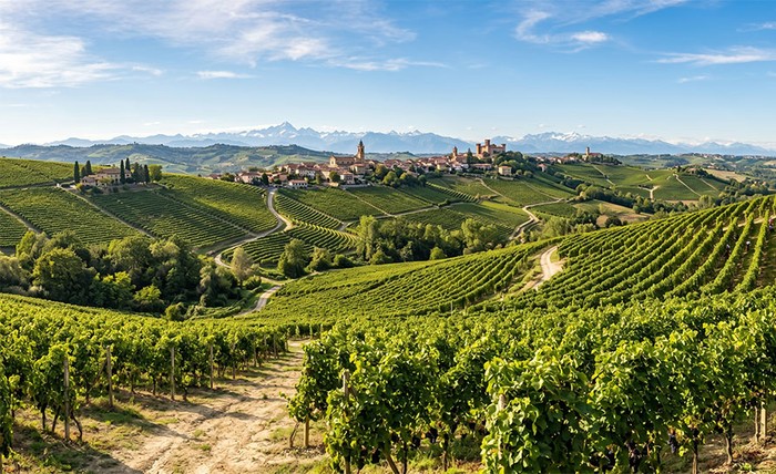 Vinitaly: Cia Alessandria-Asti, successo per nostri produttori