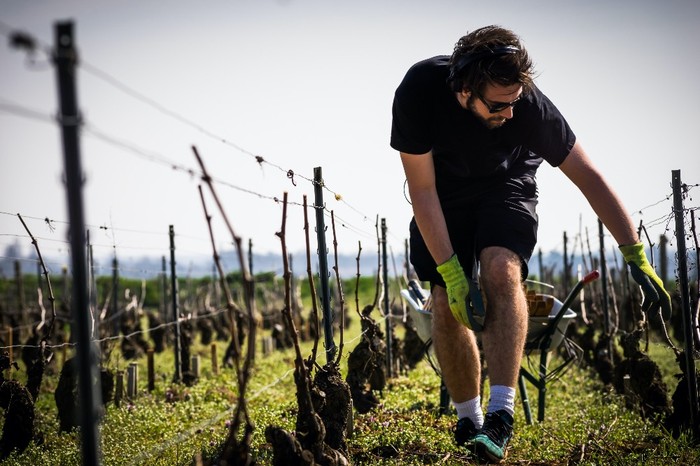 Cia Cuneo: bene Regione su bando insediamento giovani agricoltori