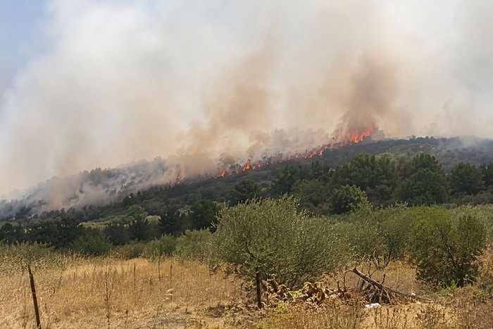 Incendi: Cia Chieti-Pescara, vicini ad agricoltori colpiti, pronti a ricognizione danni